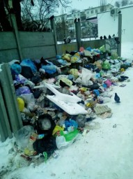 В Северодонецке перестали вывозить мусор. Жители обвиняют в этом коммунальные службы